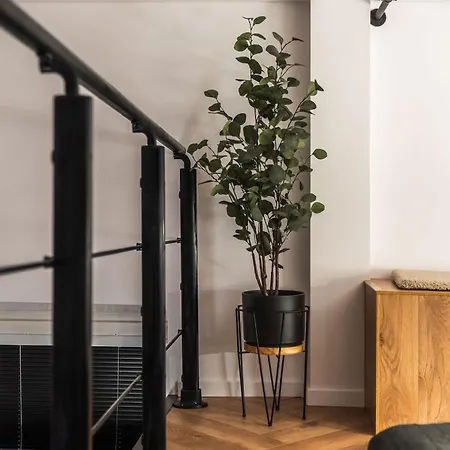 Designer Loft - Modern & Chic