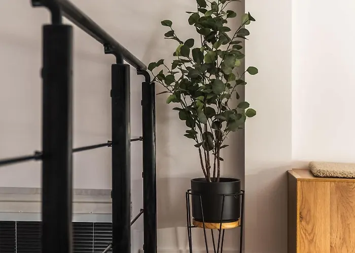 Designer Loft - Modern & Chic